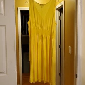 Lane Bryant Dresses - Dress Lane Bryant Dresses - Dress